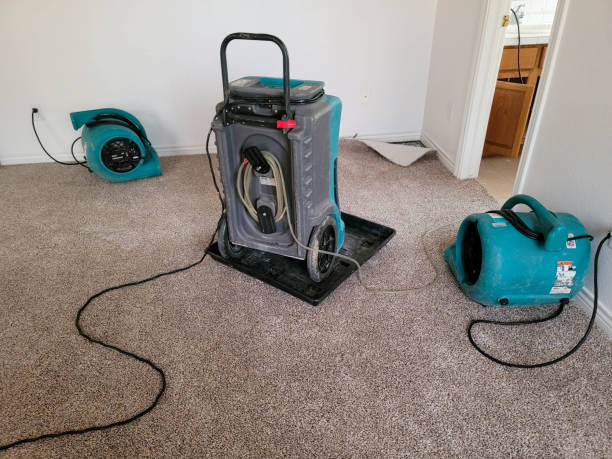 Best Sewage cleanup and water damage restoration  in East Patchogue, NY