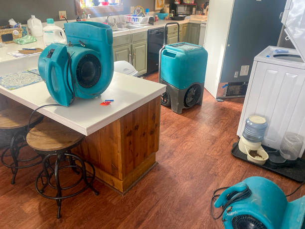 Best Flooded house restoration  in East Patchogue, NY