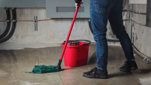 Best Professional water damage repair  in East Patchogue, NY