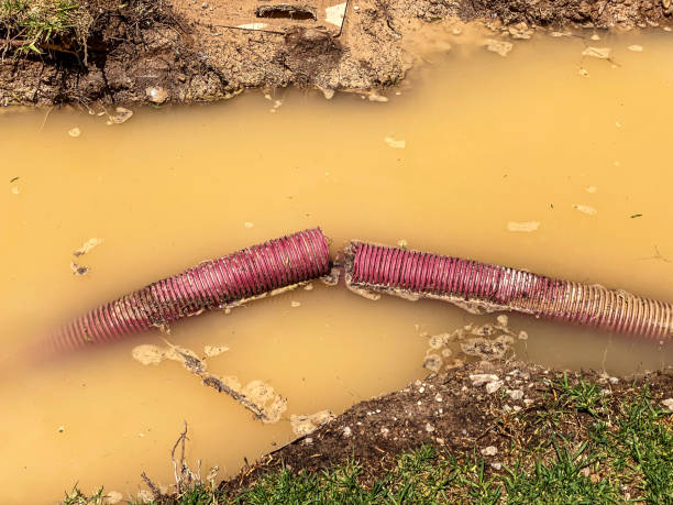Best 24-hour water damage restoration  in East Patchogue, NY