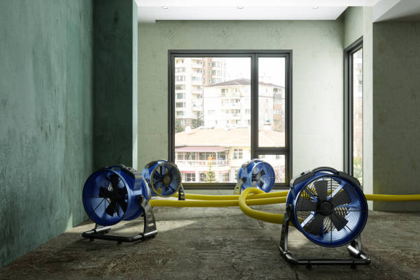 Best Water damage restoration company  in East Patchogue, NY